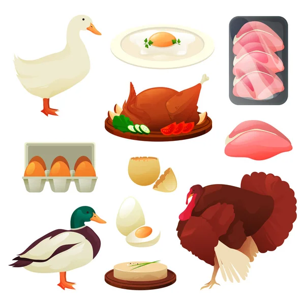 Produits alimentaires pour volailles de dinde, canard et oie — Image vectorielle