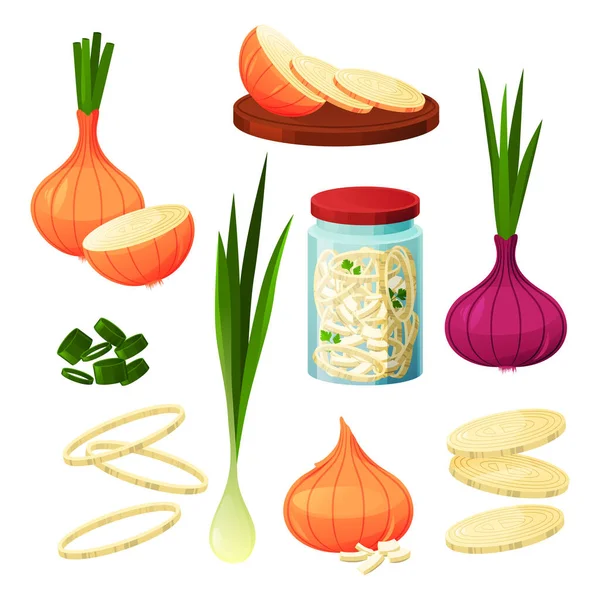 Oignon produits alimentaires légumes, cuisine et manger — Image vectorielle