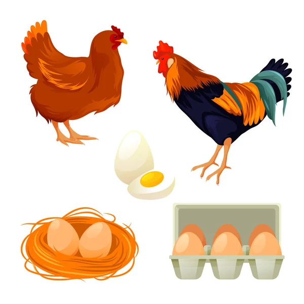 Hühner- und Hahnenset, Vektor-Nutztiere — Stockvektor