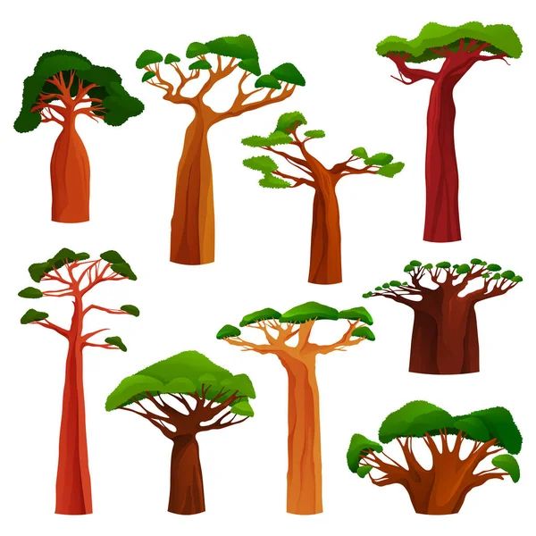 Juego de árbol Baobab o árbol de pan de mono — Vector de stock