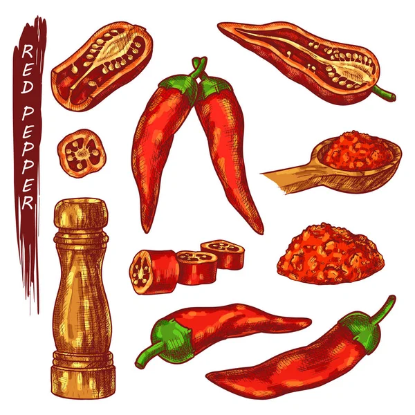 Symbole für rote Chili- oder Cayennepfeffer — Stockvektor