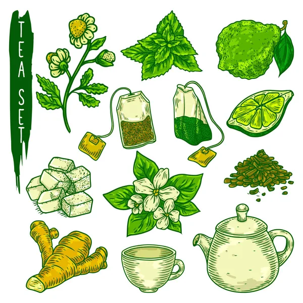 Elementos de té boceto en color, iconos vectoriales — Archivo Imágenes Vectoriales