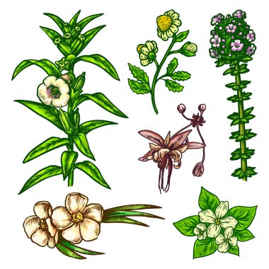 El çizimi çiçek taslağı. Vektör ana hatları simgeleri