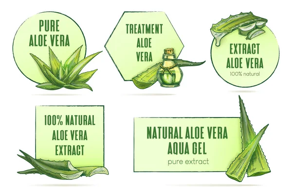 Etiquetas de Aloe vera definidas. Molduras vintage vetor — Vetor de Stock