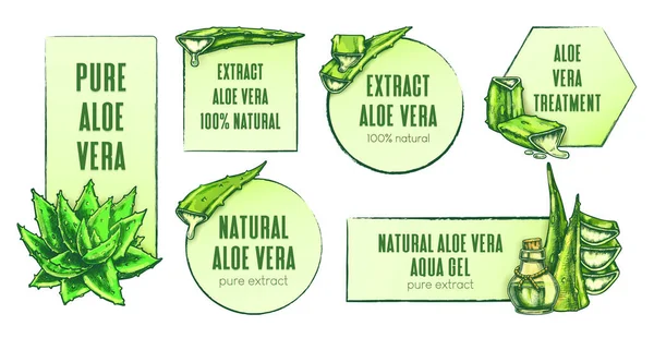 Kézzel rajzolt aloe vera címkék. Vektorkészlet — Stock Vector