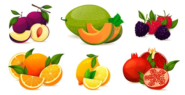 Colección de frutas de verano, conjunto de vectores vitamínicos — Vector de stock