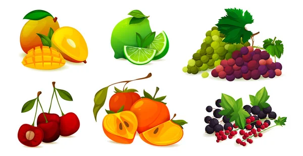 Combinación de frutas maduras o conjunto de vectores vitamínicos — Vector de stock