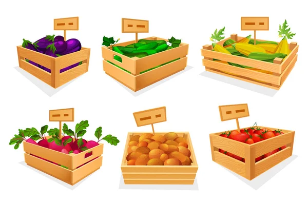 Gemüsesortiment auf dem Marktplatz oder im Geschäft, Set — Stockvektor