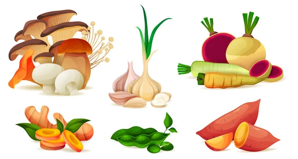 Set di verdure biologiche da fattoria, set vettore vitaminico — Vettoriale Stock
