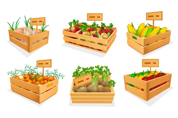 Frisches Gemüse auf dem Markt oder im Geschäft. — Stockvektor