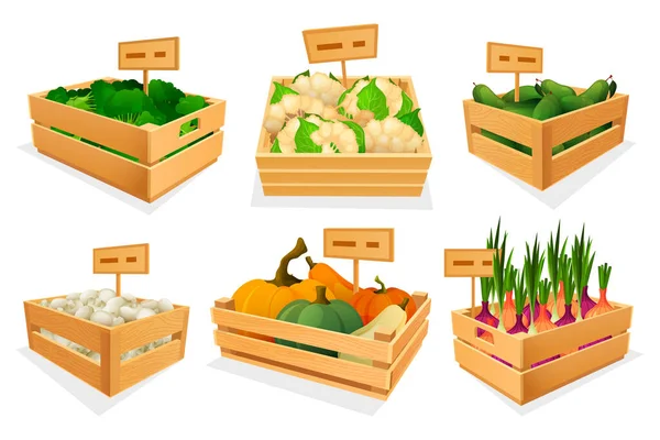Fresh vegetables in wooden boxes for sale. — Stock Vector