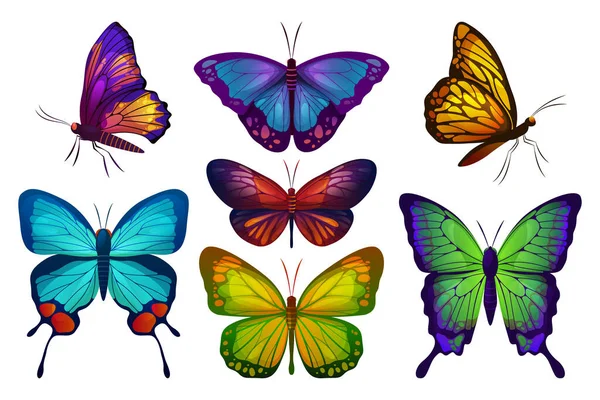 Motyl lub motyl, ikony wektorowe — Wektor stockowy