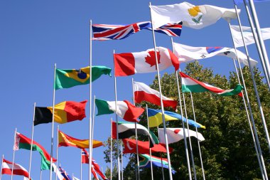 internationat bayrakları bayrak direkleri