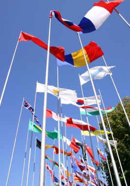 Ülke bayrakları serbestçe tasa