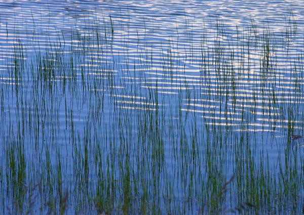 Paix dans le lac — Photo