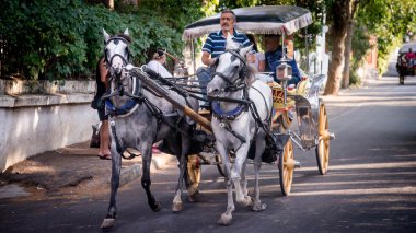 Istanbul, Turkey - August 10, 2013: Horse carts of Prince Islands in Istanbul, Turkey clipart