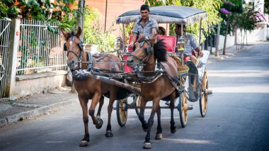 Istanbul, Türkiye - 10 Ağustos 2013: At arabaları Prens Adaları, Istanbul, Türkiye
