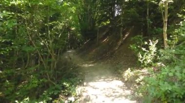 Kastamonu 'daki Valla Kanyonu tepesindeki gözlem terasına giden orman yolu