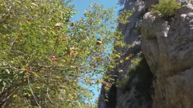 Kastamonu 'nun Kure Dağları Ulusal Parkı' ndaki Horma Kanyonu 'ndaki yüksek uçurum