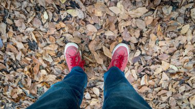 Sonbahar manzarasında sonbahar yaprakları üzerinde duran adam, Yedigoller Ulusal Parkı, Bolu, Türkiye