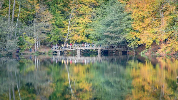 Parc National Yedigoller Bolu Novembre 2017 Paysage Automne Dans Parc — Photo