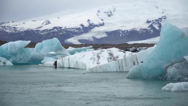 Ledovce Jokulsarlonské Ledovcové Laguně Tvořené Tavícím Ledem Island Globální Oteplování — Stock video