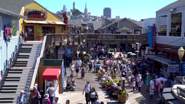 San Francisco California Agosto 2019 Fisherman Wharf Pier Área Llena — Vídeo de stock