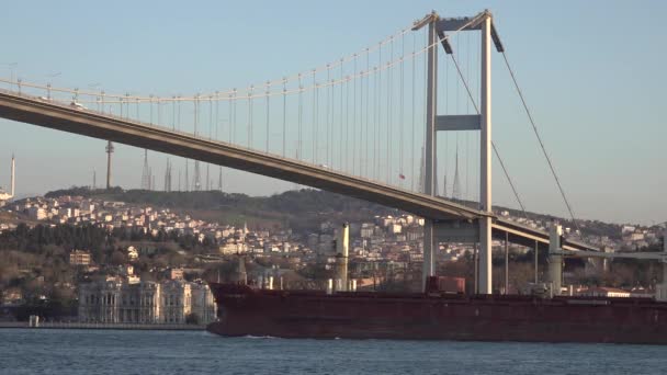 Istanbul Turquie Février 2020 Cargo Tanker Ship Sailing Bosphorus Strait — Video