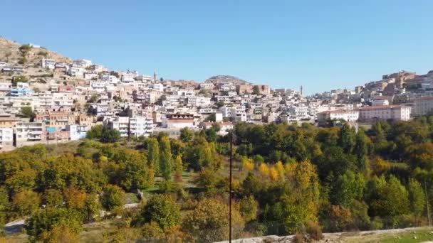 Savur Mardin Turquia Janeiro 2020 Cidade Savur Com Antigas Casas — Vídeo de Stock