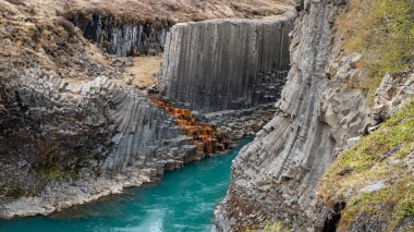 Studlagil bazalt kanyonu, İzlanda. Bu nadir bir volkanik bazalt sütun oluşumu.