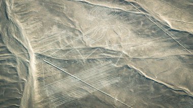 Maymun Nazca antik gizemli geoglifler. Nazca hatları uçaktan görüldüğü gibi. Nazca çizgileri Peru 'nun simgeleridir
