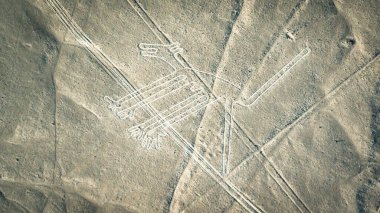 Köpek Nazca antik gizemli geoglifler. Nazca hatları uçaktan görüldüğü gibi. Nazca çizgileri Peru 'nun simgeleridir