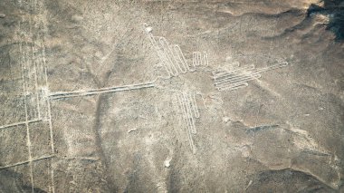 Sinekkuşu Nazca antik gizemli geoglif. Nazca hatları uçaktan görüldüğü gibi. Nazca çizgileri Peru 'nun simgeleridir