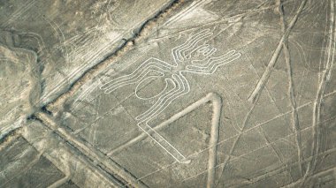 Örümcek Nazca antik gizemli geoglifleri. Nazca hatları uçaktan görüldüğü gibi. Nazca çizgileri Peru 'nun simgeleridir