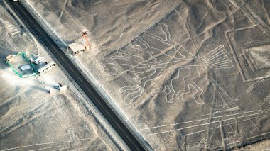 Ağaç Nazcası antik gizemli geoglifler. Nazca hatları uçaktan görüldüğü gibi. Nazca çizgileri Peru 'nun simgeleridir