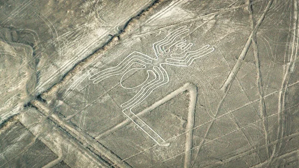 蜘蛛纳斯卡古老而神秘的地理符号 从飞机上看到的纳斯卡线纳斯卡线是秘鲁的地标 — 图库照片
