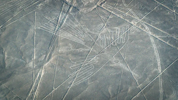 コンドル ナスカ古代の神秘的な地形 航空機から見たナスカ線 ナスカ線はペルーのランドマーク — ストック写真