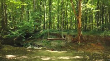 Igneada Longoz 'da yaz aylarında boş salıncak, düz ormanları sel basar. Longoz ormanları nadir ekosistemlerdir. Igneada Longoz Ormanları Türkiye 'de bir Ulusal Park' tır