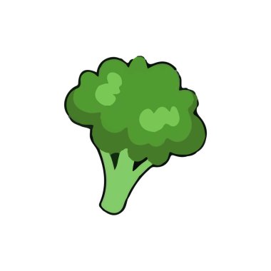 taze brokoli sebze simge vektör çizim tasarım