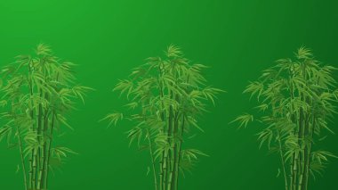 Bambu ormanı. Arka planda yeşil yaprak var. vektör illüstrasyonu.