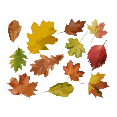 Sonbahar yaprağı ikonu. vektör illüstrasyonu