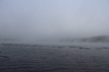 Sisli sonbahar orman sabah