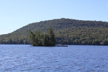 Adirondack dağlarındaki bir gölde küçük, ağaçlık bir ada..
