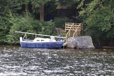 Yelkenli, ormandaki bir gölün kıyısına yanaştı.
