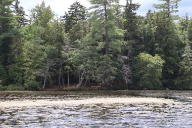 Dağlarda güzel bir göl manzarası