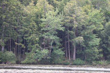 Dağlarda güzel bir göl manzarası