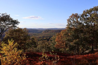 New York 'ta güneşli bir günde bir vadiye bakan bir dağın tepesindeki ağaçlarla güzel bir sonbahar manzarası..