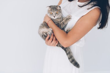 Gri kedi ile oynarken kız