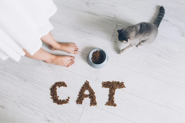 Girl feeding grey cat