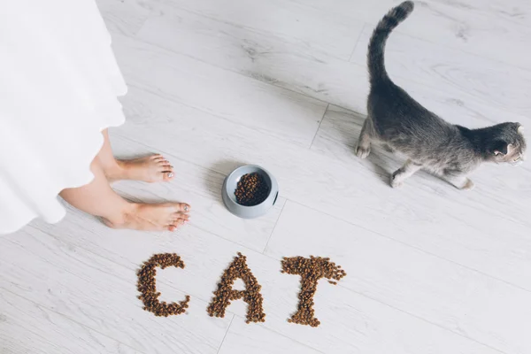 Девочка кормит серого кота — стоковое фото